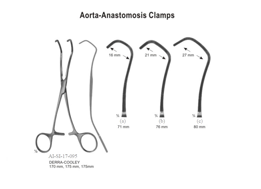 Derra Cooley aorta anastomosis